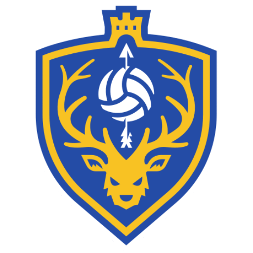 ESP Volley Logo